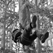 tree-climbing-2